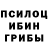 Псилоцибиновые грибы Psilocybe RENDEN BS