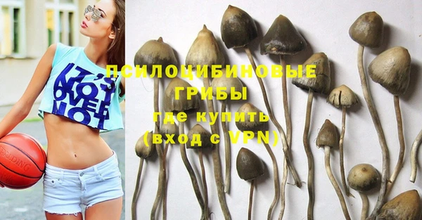 стаф Балабаново